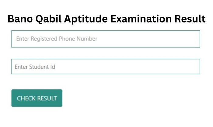 Bano Qabil Aptitude Test Result